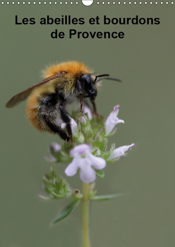 LES ABEILLES ET BOURDONS DE PROVENCE (CALENDRIER MURAL 2019 DIN A3 VERTICAL) - NOS AMIS LES ABEILLES