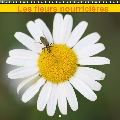 LES FLEURS NOURRICIERES (CALENDRIER MURAL 2019 300 * 300 MM SQUARE) - LA PARRURE DES FLEURS NOURRICI