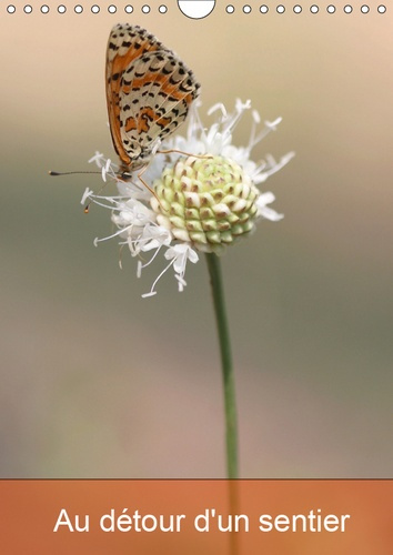 AU DETOUR D'UN SENTIER (CALENDRIER MURAL 2019 DIN A4 VERTICAL) - MA CURIOSITE S'EVEILLE AU GRE DE ME