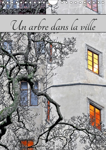 UN ARBRE DANS LA VILLE (CALENDRIER MURAL 2019 DIN A4 VERTICAL) - PAYSAGE URBAIN AVEC LA PRESENCE D'A