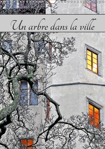 UN ARBRE DANS LA VILLE (CALENDRIER MURAL 2019 DIN A3 VERTICAL) - PAYSAGE URBAIN AVEC LA PRESENCE D'A