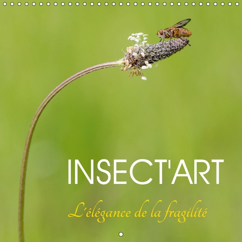 INSECT'ART (CALENDRIER MURAL 2019 300 * 300 MM SQUARE) - AVEC INSECT'ART, DECOUVREZ CHAQUE MOIS LA B