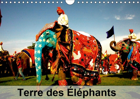 TERRE DES ELEPHANTS (CALENDRIER MURAL 2019 DIN A4 HORIZONTAL) - DES QUELQUES 300 ESPECES DE MAMMIFER