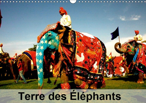 TERRE DES ELEPHANTS (CALENDRIER MURAL 2019 DIN A3 HORIZONTAL) - DES QUELQUES 300 ESPECES DE MAMMIFER