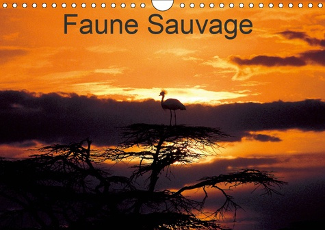 FAUNE SAUVAGE (CALENDRIER MURAL 2019 DIN A4 HORIZONTAL) - VOYAGE INITIATIQUE, DANS LES REGIONS LES P