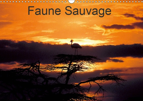 FAUNE SAUVAGE (CALENDRIER MURAL 2019 DIN A3 HORIZONTAL) - VOYAGE INITIATIQUE, DANS LES REGIONS LES P
