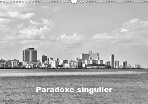PARADOXE SINGULIER (CALENDRIER MURAL 2019 DIN A3 HORIZONTAL) - QUELQUES SCENES URBAINES TEMOIGNENT D