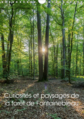 CURIOSITES ET PAYSAGES DE LA FORET DE FONTAINEBLEAU (CALENDRIER MURAL 2019 DIN A4 VERTICAL) - PARTEZ