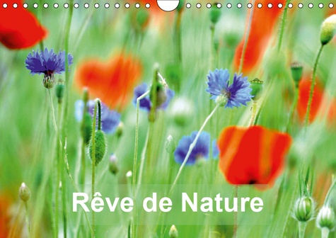 REVE DE NATURE (CALENDRIER MURAL 2019 DIN A4 HORIZONTAL) - PAYSAGES DE NATURE ET DE FLEURS (CALENDRI