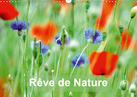REVE DE NATURE (CALENDRIER MURAL 2019 DIN A3 HORIZONTAL) - PAYSAGES DE NATURE ET DE FLEURS (CALENDRI
