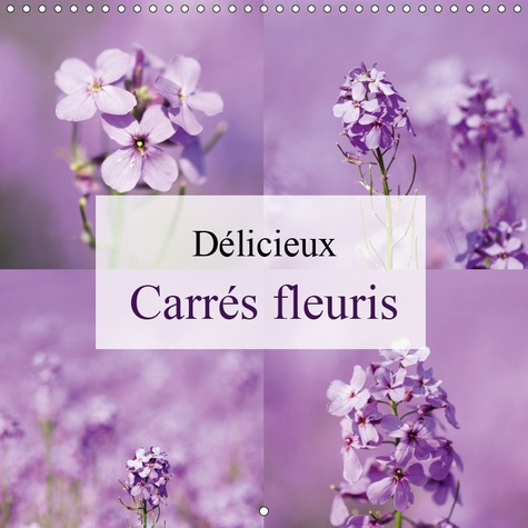 DELICIEUX CARRES FLEURIS (CALENDRIER MURAL 2019 300 * 300 MM SQUARE) - PHOTOS CARREES DE FLEURS (CAL