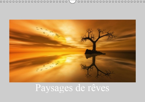 PAYSAGES DE REVES (CALENDRIER MURAL 2019 DIN A3 HORIZONTAL) - QUELQUES PAYSAGES IMAGINAIRES (CALENDR
