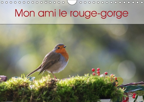 MON AMI LE ROUGE-GORGE (CALENDRIER MURAL 2019 DIN A4 HORIZONTAL) - UNE ANNEE DE LA VIE DU ROUGE-GORG