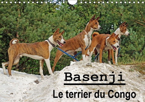 BASENJI LE TERRIER DU CONGO (CALENDRIER MURAL 2019 DIN A4 HORIZONTAL) - LE BASENJI EST UNE RACE DE C