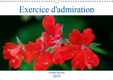 EXERCICE D'ADMIRATION (CALENDRIER MURAL 2019 DIN A3 HORIZONTAL) - AVEC LA CONTEMPLATION D'UNE FLEUR,