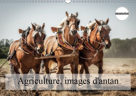 AGRICULTURE, IMAGES D'ANTAN (CALENDRIER MURAL 2019 DIN A3 HORIZONTAL) - DES IMAGES QUI RESTENT DANS