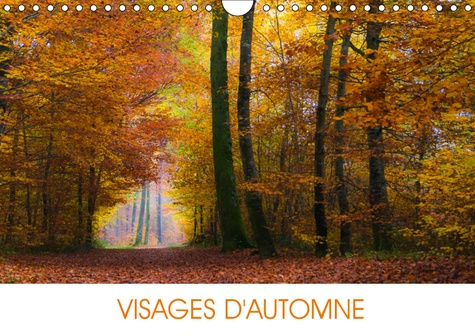 VISAGES D'AUTOMNE (CALENDRIER MURAL 2019 DIN A4 HORIZONTAL) - EN AUTOMNE, LA NATURE TIRE SA REVERENC