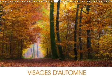 VISAGES D'AUTOMNE (CALENDRIER MURAL 2019 DIN A3 HORIZONTAL) - EN AUTOMNE, LA NATURE TIRE SA REVERENC
