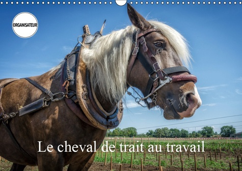 LE CHEVAL DE TRAIT AU TRAVAIL (CALENDRIER MURAL 2019 DIN A3 HORIZONTAL) - EXEMPLES D'UTILISATION DU