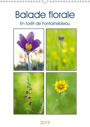 BALADE FLORALE EN FORET DE FONTAINEBLEAU (CALENDRIER MURAL 2019 DIN A3 VERTICAL) - DECOUVREZ UNE JOL