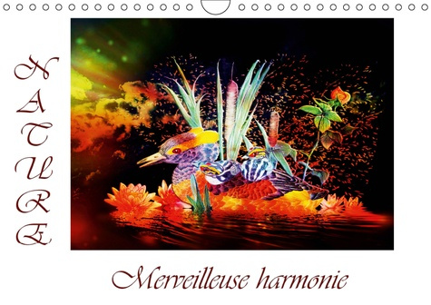 NATURE  MERVEILLEUSE HARMONIE (CALENDRIER MURAL 2019 DIN A4 HORIZONTAL) - DESSINS AU CRAYON DE COULE