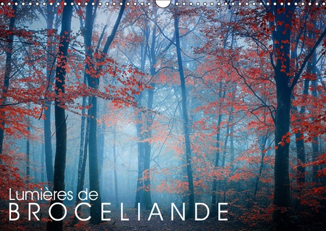 LUMIERES DE BROCELIANDE (CALENDRIER MURAL 2019 DIN A3 HORIZONTAL) - IMAGES DE LA FORET DE BROCELIAND