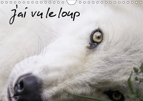 J'AI VU LE LOUP (CALENDRIER MURAL 2019 DIN A4 HORIZONTAL) - LOUPS GRIS ET LOUPS ARCTIQUES DU CANADA