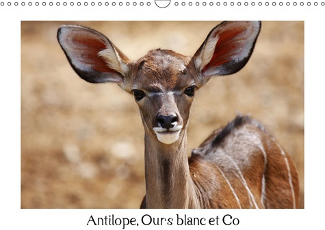 ANTILOPE, OURS BLANC ET CO (CALENDRIER MURAL 2019 DIN A3 HORIZONTAL) - ANIMAUX A L'ETAT SAUVAGE (CAL