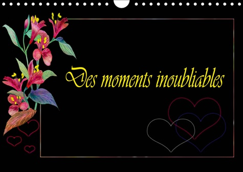 DES MOMENTS INOUBLIABLES (CALENDRIER MURAL 2019 DIN A4 HORIZONTAL) - CALENDRIER POUR LA CONCEPTION P