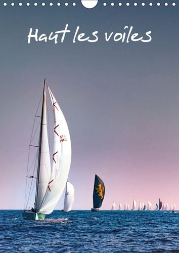 HAUT LES VOILES (CALENDRIER MURAL 2019 DIN A4 VERTICAL) - LA VOILE AU GRE DES SAISONS (CALENDRIER ME