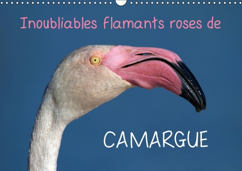 INOUBLIABLES FLAMANTS ROSES DE CAMARGUE (CALENDRIER MURAL 2019 DIN A3 HORIZONTAL) - LES FLAMANTS ROS