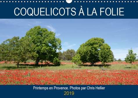 COQUELICOTS A LA FOLIE (CALENDRIER MURAL 2019 DIN A3 HORIZONTAL) - PRINTEMPS EN PROVENCE (CALENDRIER