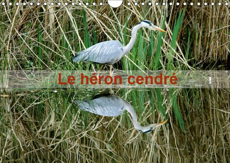 LE HERON CENDRE (CALENDRIER MURAL 2019 DIN A4 HORIZONTAL) - PORTRAIT D'UN OISEAU : LE HERON CENDRE D