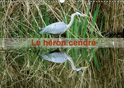 LE HERON CENDRE (CALENDRIER MURAL 2019 DIN A3 HORIZONTAL) - PORTRAIT D'UN OISEAU : LE HERON CENDRE D