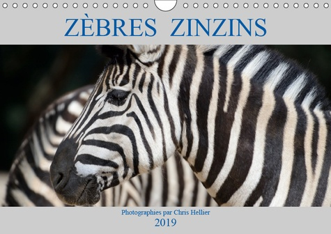 ZEBRES ZINZINS (CALENDRIER MURAL 2019 DIN A4 HORIZONTAL) - PORTRAITS DU ZEBRE DES PLAINES OU DE BURC
