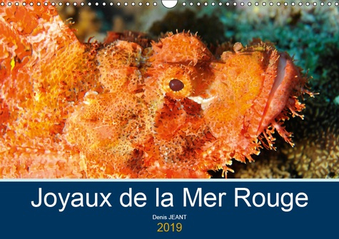 JOYAUX DE LA MER ROUGE (CALENDRIER MURAL 2019 DIN A3 HORIZONTAL) - DECOUVREZ LES FONDS RICHES EN COU