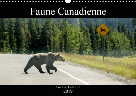 FAUNE CANADIENNE (CALENDRIER MURAL 2019 DIN A3 HORIZONTAL) - A LA RENCONTRE DE LA FAUNE OUEST-CANADI