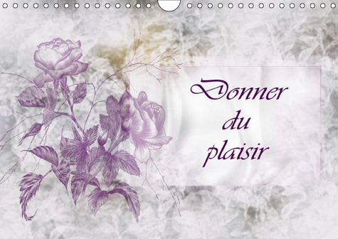 DONNER DU PLAISIR (CALENDRIER MURAL 2019 DIN A4 HORIZONTAL) - CALENDRIER POUR LA CONCEPTION PERSONNE