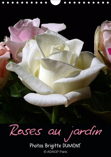ROSES AU JARDIN (CALENDRIER MURAL 2019 DIN A4 VERTICAL) - PROMENADE SOUS LES ROSIERS AU SOLEIL DU MI