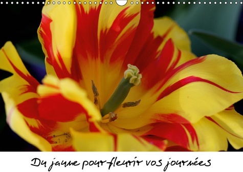 DU JAUNE POUR FLEURIR VOS JOURNEES (CALENDRIER MURAL 2019 DIN A3 HORIZONTAL) - DES FLEURS JAUNES POU