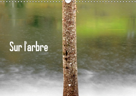 SUR L'ARBRE (CALENDRIER MURAL 2019 DIN A3 HORIZONTAL) - L'ARBRE, ELEMENT ARCHITECTURAL DE NOS PAYSAG