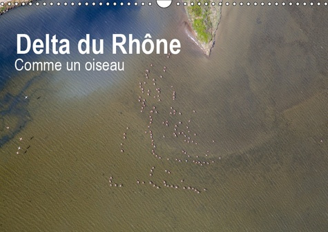 DELTA DU RHONE - COMME UN OISEAU (CALENDRIER MURAL 2019 DIN A3 HORIZONTAL) - PHOTO AERIENNE CAMARGUE