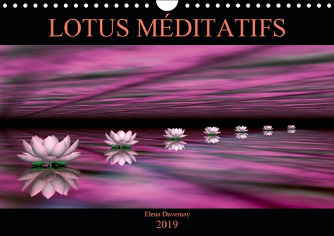 LOTUS MEDITATIFS (CALENDRIER MURAL 2019 DIN A4 HORIZONTAL) - LA BEAUTE DES FLEURS DE LOTUS DANS UN E
