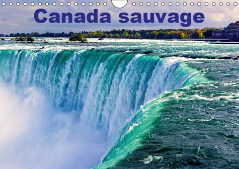 CANADA SAUVAGE (CALENDRIER MURAL 2019 DIN A4 HORIZONTAL) - LE CANADA, UN PAYS EPOUSTOUFLANT.DES ANIM