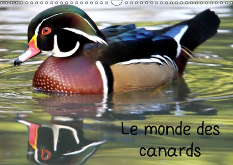 LE MONDE DES CANARDS (CALENDRIER MURAL 2019 DIN A3 HORIZONTAL) - A LA DECOUVERTE DES CANARDS DU MOND