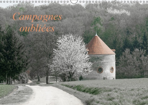 CAMPAGNES OUBLIEES (CALENDRIER MURAL 2019 DIN A3 HORIZONTAL) - UNE SERIE D'IMAGES DE CAMPAGNES HUMBL