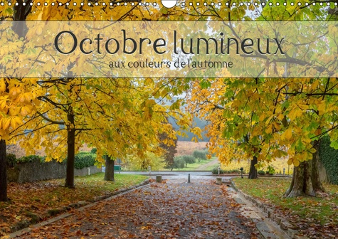OCTOBRE LUMINEUX (CALENDRIER MURAL 2019 DIN A3 HORIZONTAL) - AU FIL DES PAGES AUX COULEURS DE L'AUTO