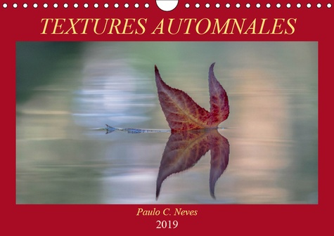 TEXTURES AUTOMNALES (CALENDRIER MURAL 2019 DIN A4 HORIZONTAL) - DE PRES OU DE TRES PRES, QUE DES IMA