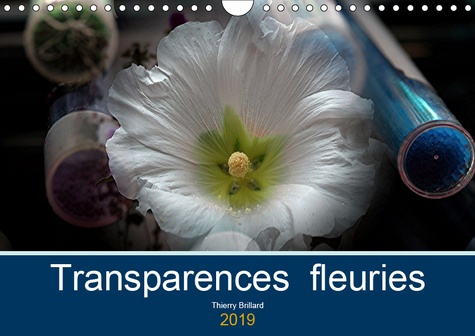 TRANSPARENCES FLEURIES (CALENDRIER MURAL 2019 DIN A4 HORIZONTAL) - 14 PAGES DE COMPOSITIONS PHOTOGRA