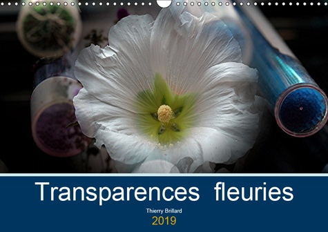 TRANSPARENCES FLEURIES (CALENDRIER MURAL 2019 DIN A3 HORIZONTAL) - 14 PAGES DE COMPOSITIONS PHOTOGRA